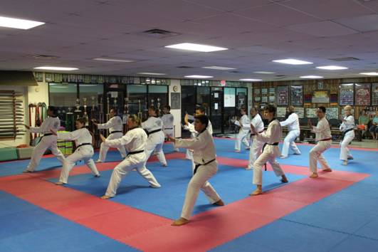 Taekwando School