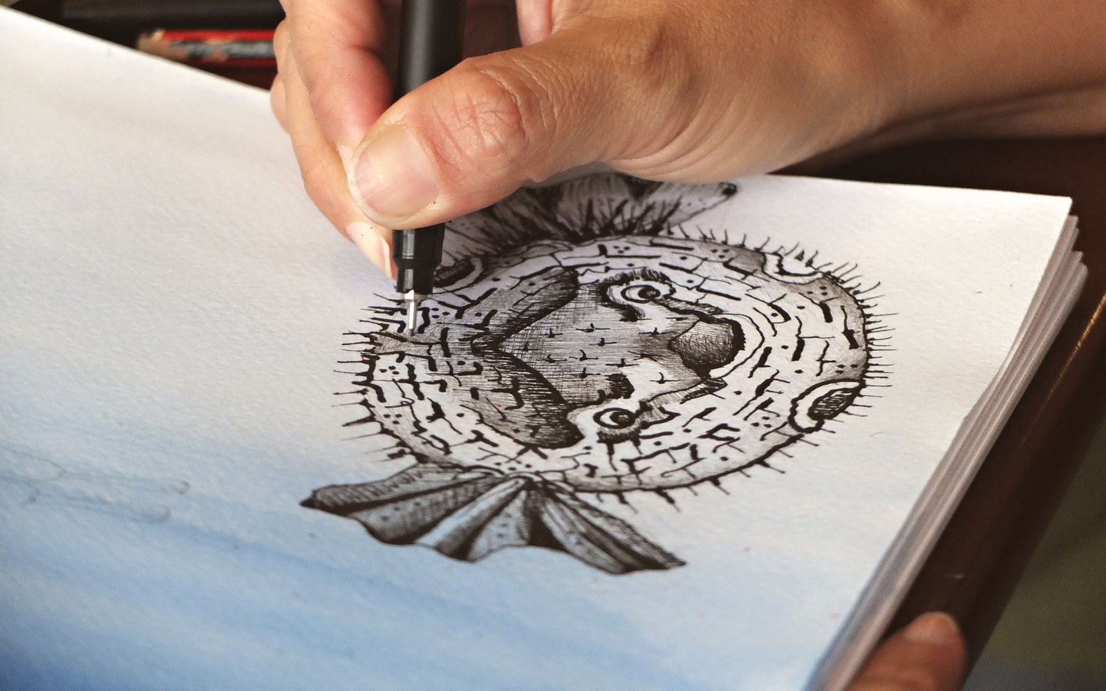 A hand draws a detailed pufferfish in ink over a watercolor wash